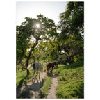 9c016b4d-f4ca-4550-a2fa-0b82c7eb2597