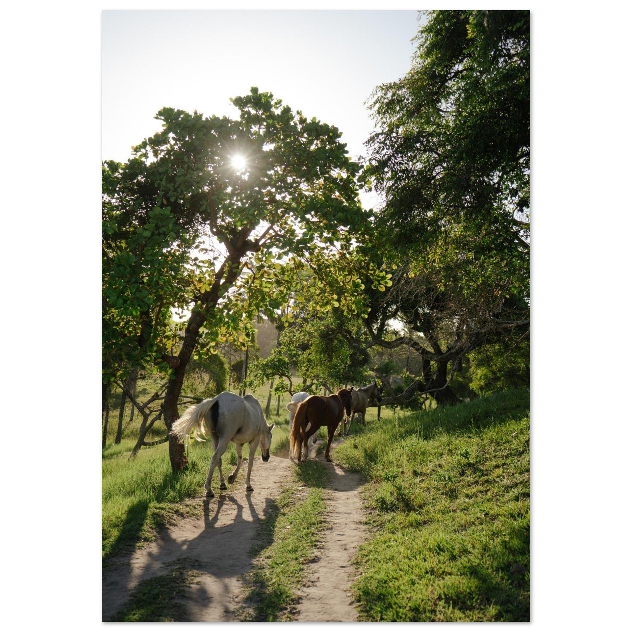 9c016b4d-f4ca-4550-a2fa-0b82c7eb2597