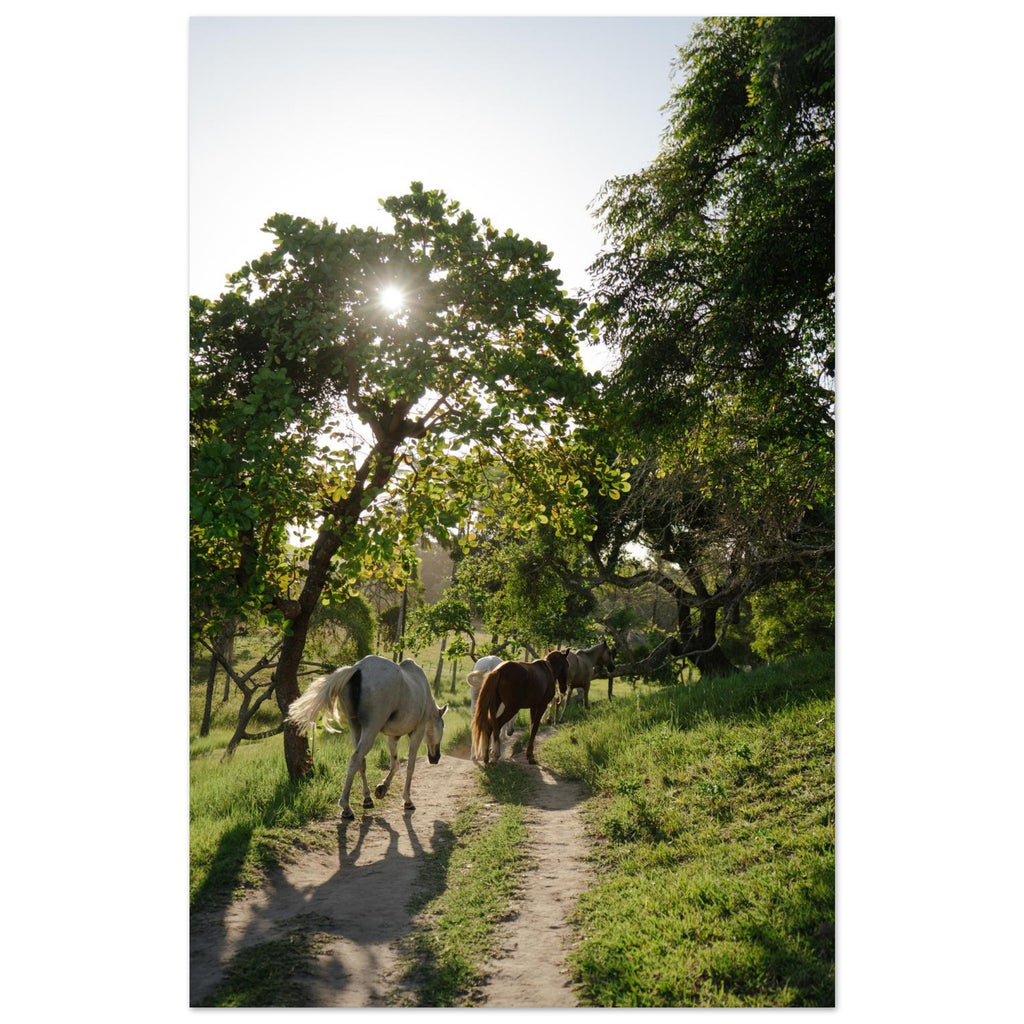 a4b2a8f5-8a2b-49b5-8d68-31ddf135875c