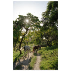 a4b2a8f5-8a2b-49b5-8d68-31ddf135875c