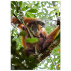 a4f39792-32cb-420a-b708-26deedba408c