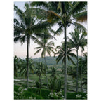 a6c91df5-e204-4618-a992-0aff524ea71e