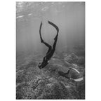 a7cf8efe-f72f-47b9-9ea3-d64c9b2e9bab