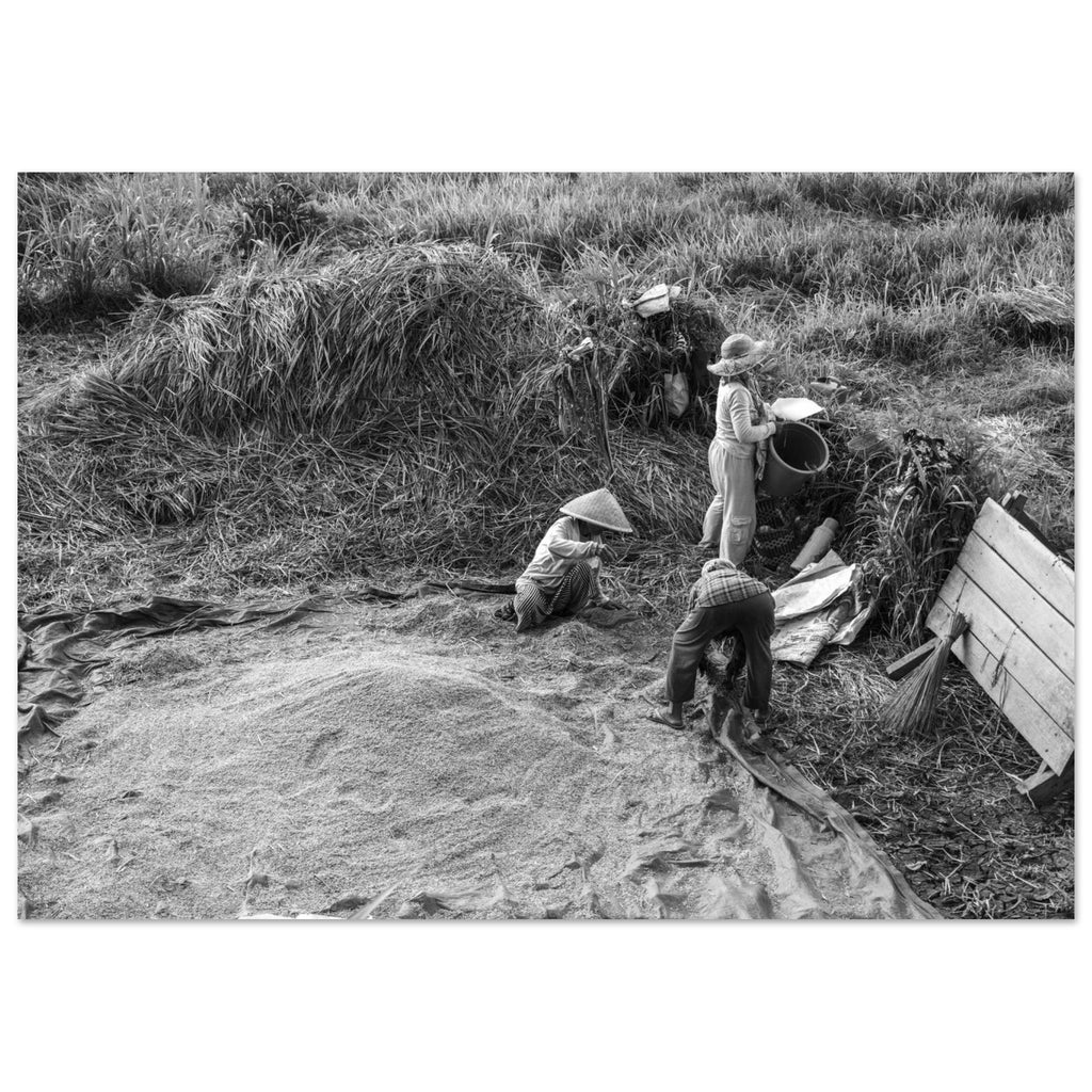 a862a300-b988-438e-b6fe-708b690ef998