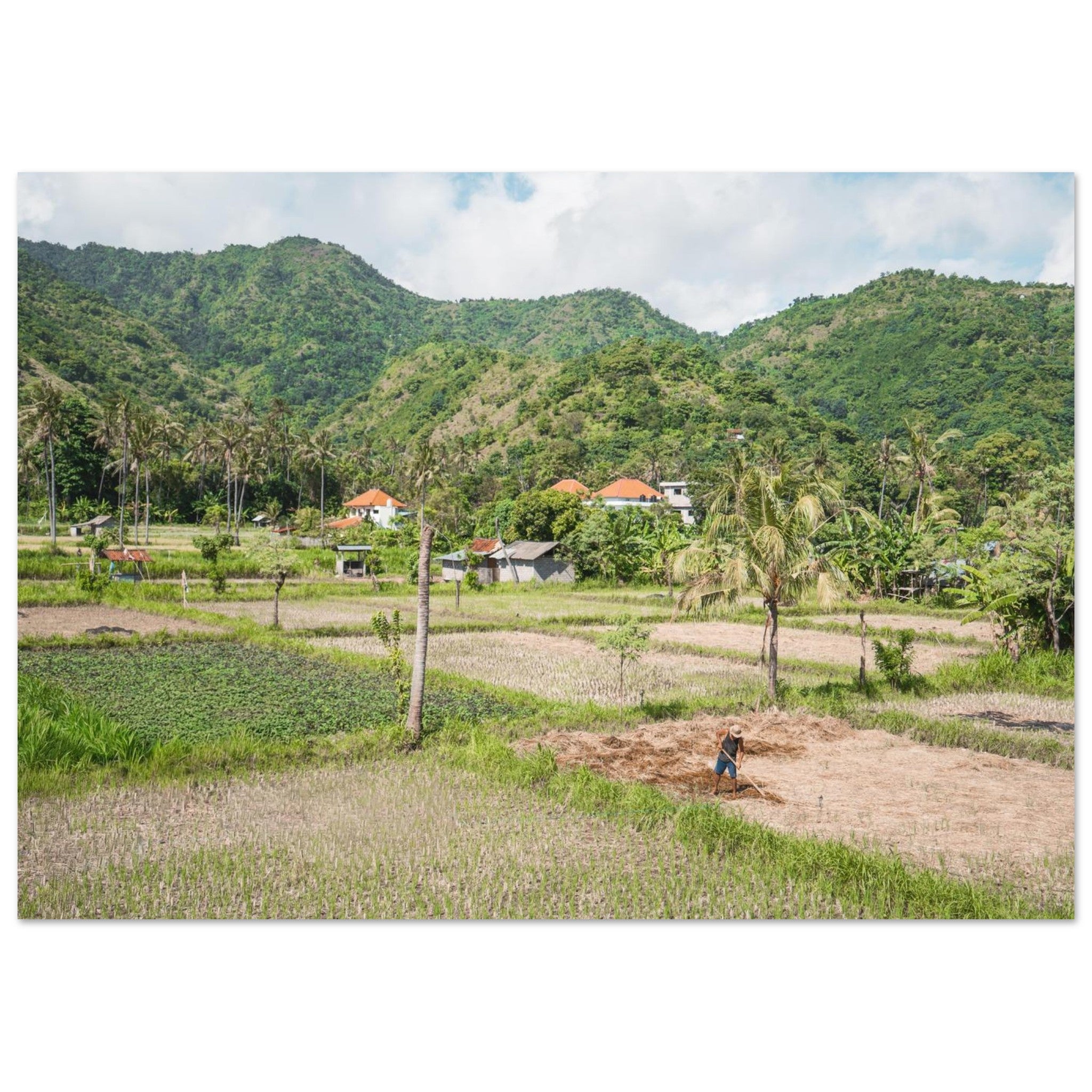 b184ace7-1a35-46b9-a246-d952e3a54801