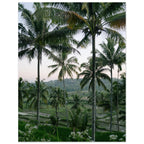 b635baaf-85d0-4c77-bd8c-0fe0e8e488c1