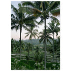 bc443872-f040-432a-b5ba-04fa3b10a6b6