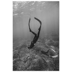 c0ede201-b86f-4a26-9f46-0576213dfe18