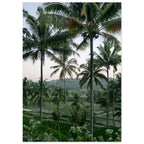 c1674ed1-7438-4765-9b91-577fcc875430