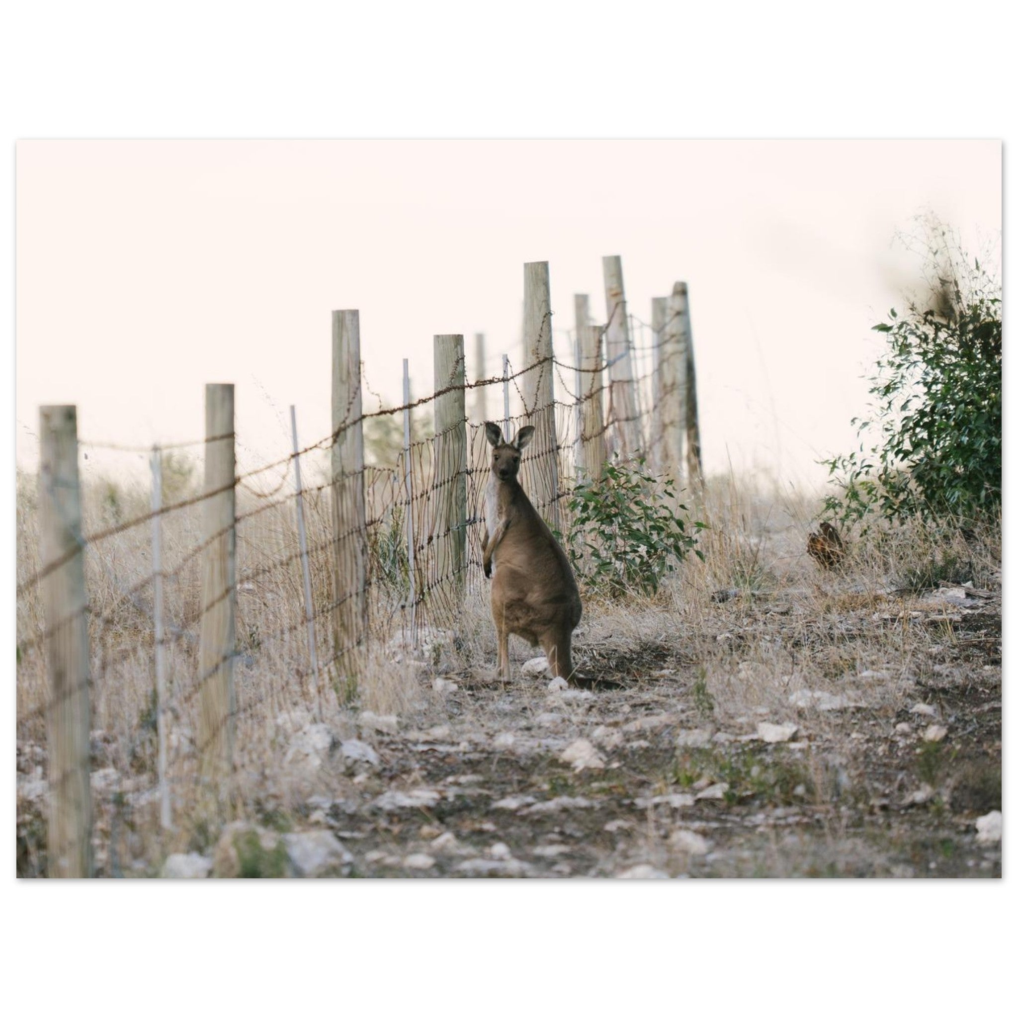 cd30b92f-c0f0-43ec-b567-395e90d8568e