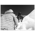 d088ff9b-bd6f-40c5-a692-d470c7571243