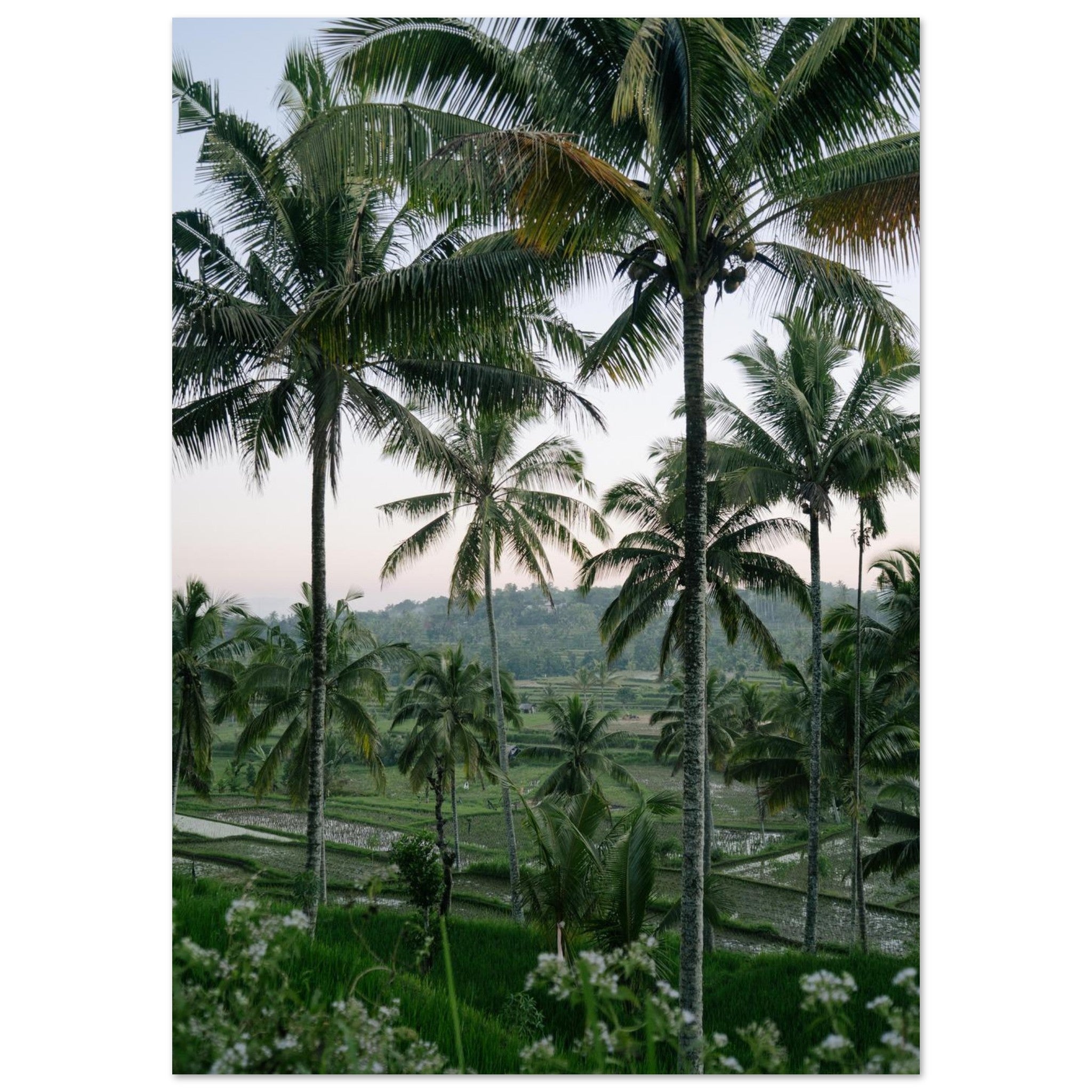 d5aa1d5d-f397-48d1-beef-2604d24194d1