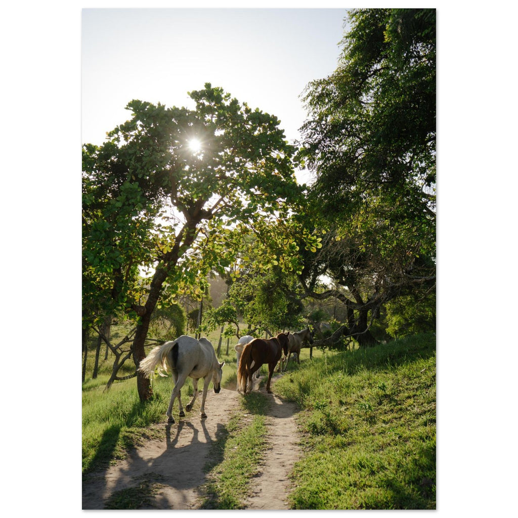 d9fbc413-7e7d-4f54-be91-34d8daf5751b