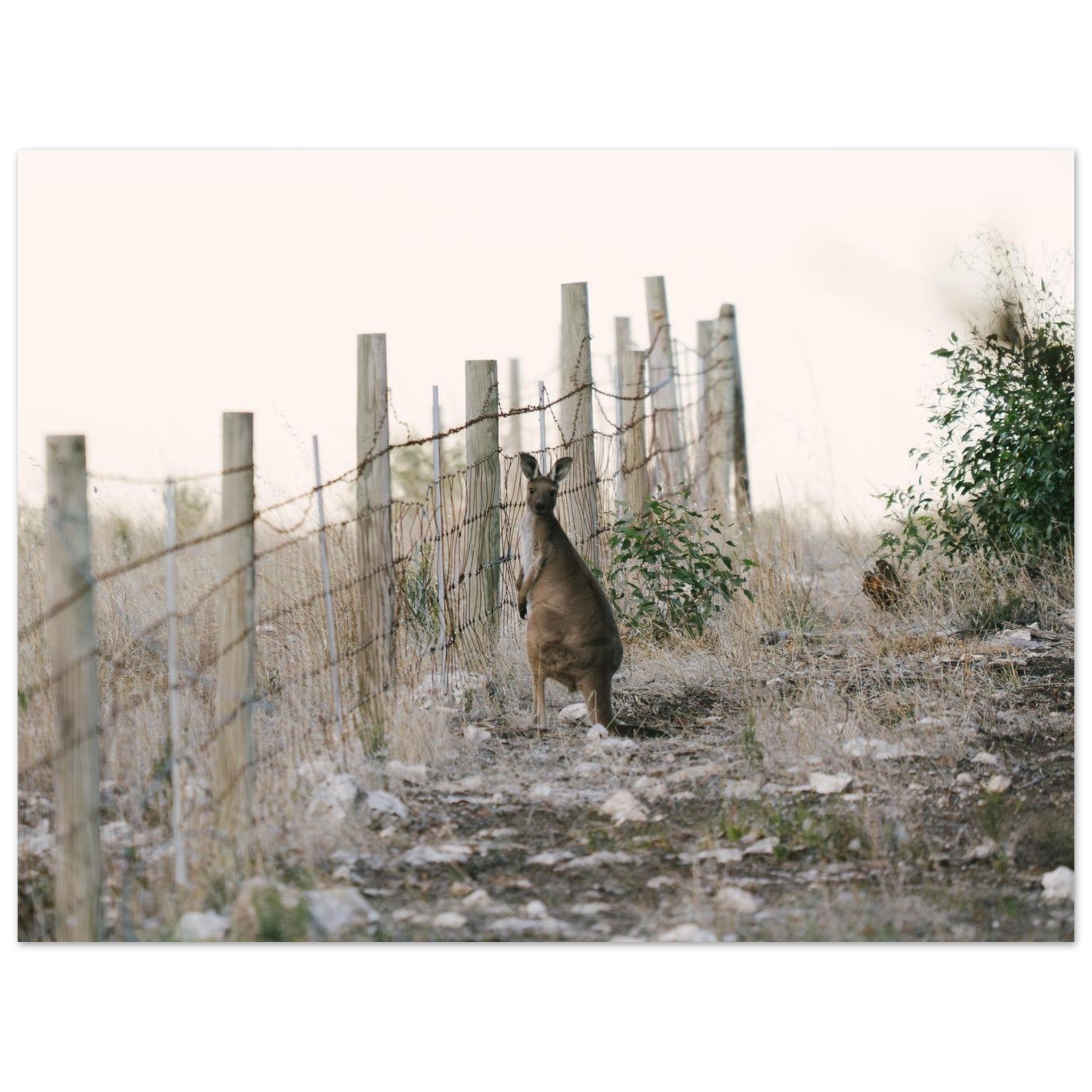 ed775224-6116-48af-817d-aa859867d4f2