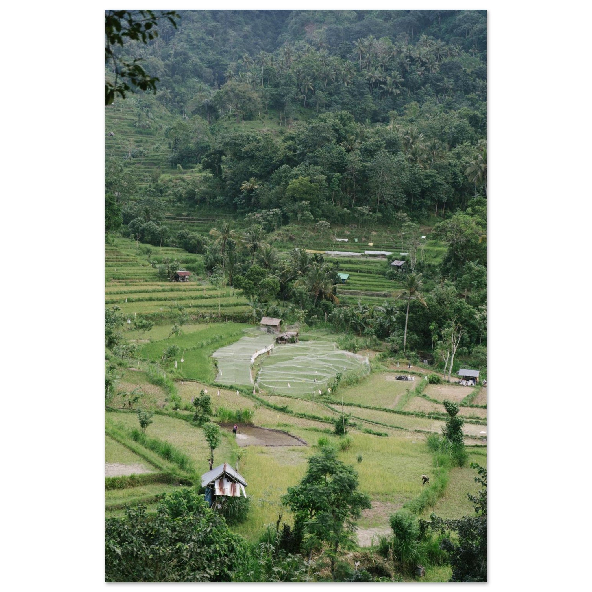 ef1b87ea-f3bc-487f-bb40-81b922ca1360
