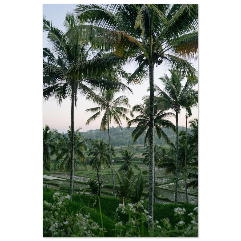 f7c32b26-351c-408c-ac19-db9652a203c6