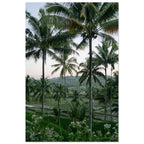 f7c32b26-351c-408c-ac19-db9652a203c6