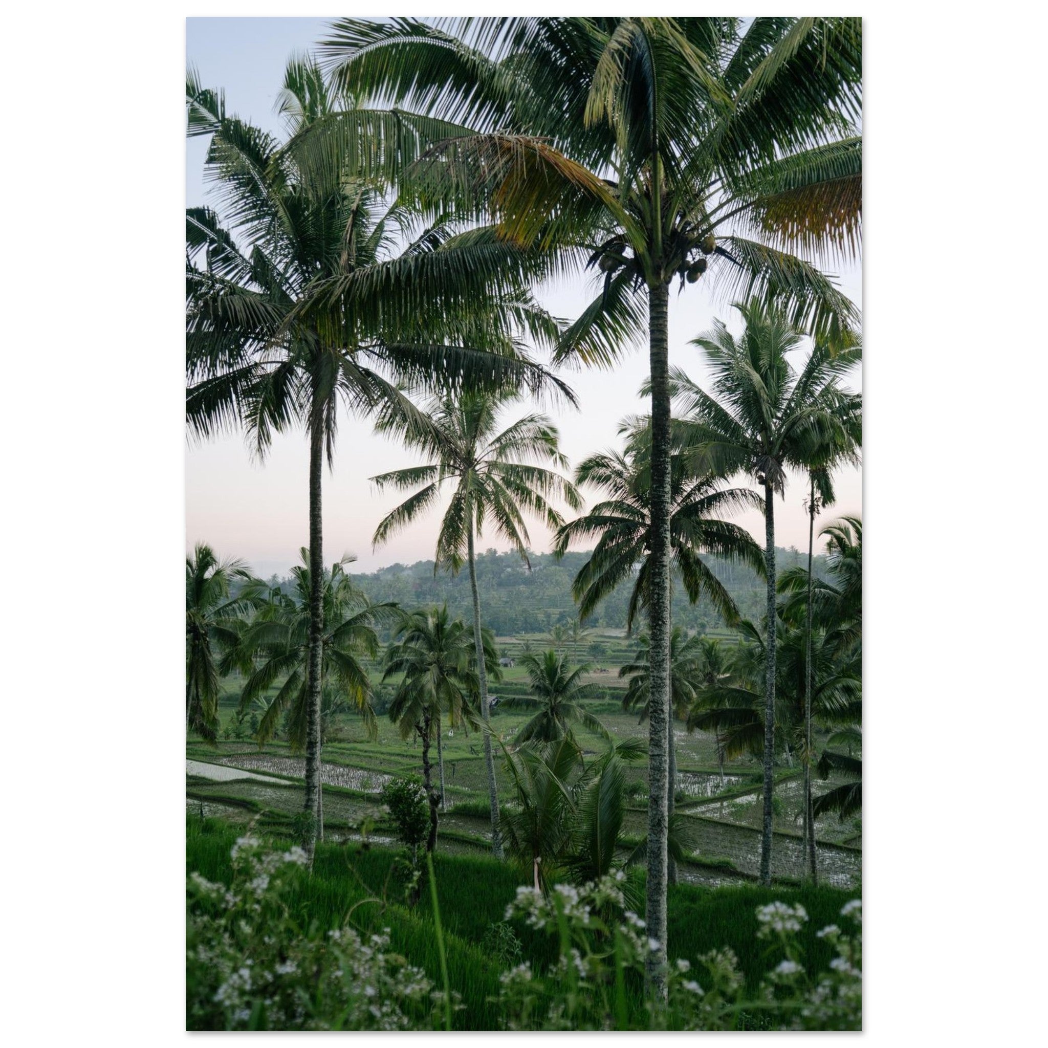 f7c32b26-351c-408c-ac19-db9652a203c6