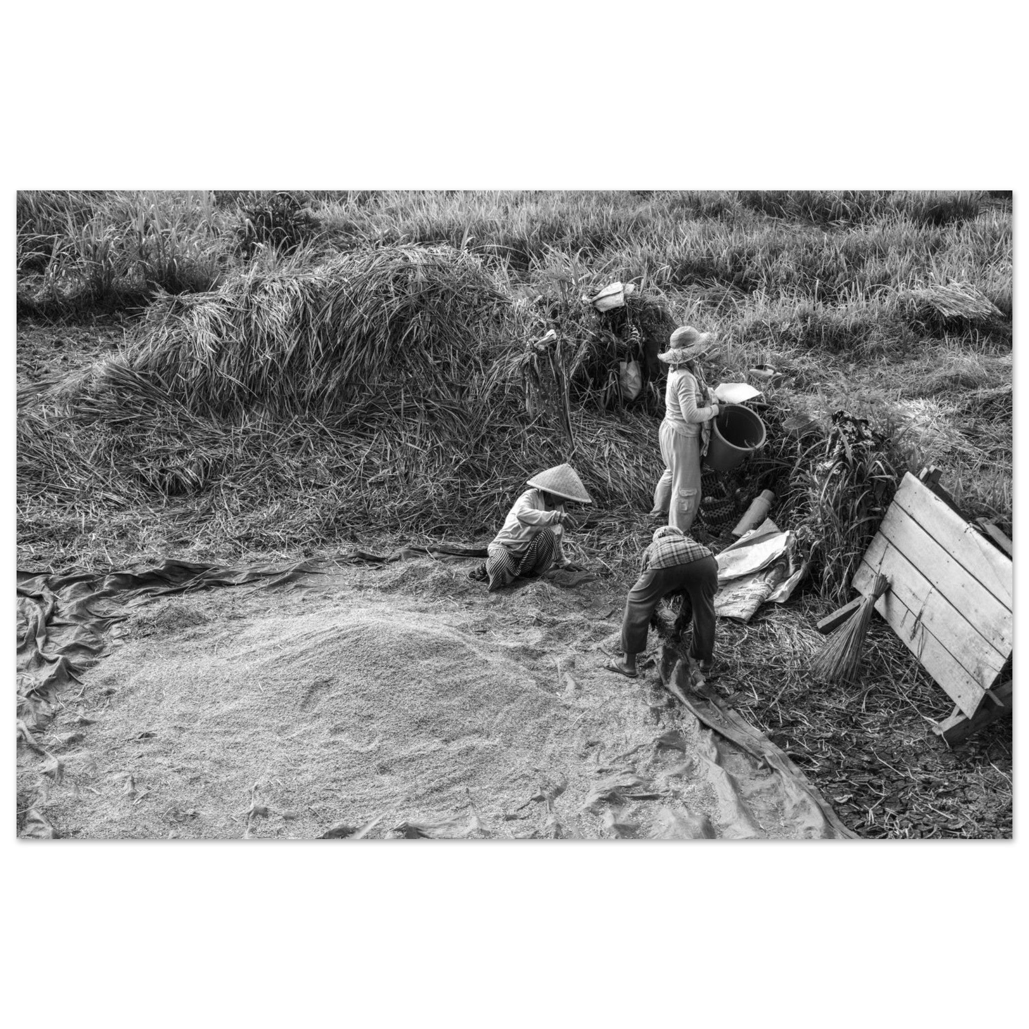 f990157b-ee95-4add-a000-2dce75303e16