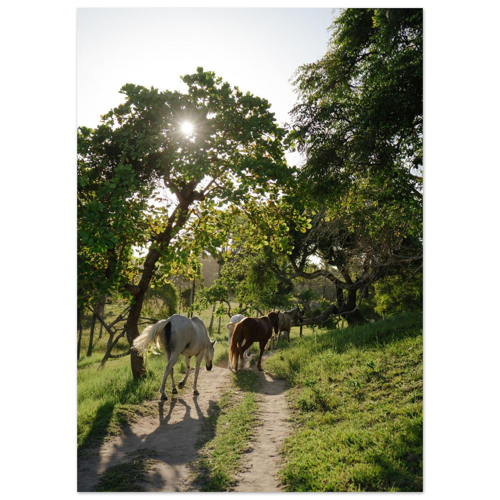 fceaf80e-22a9-4825-aa65-ca943cb9693a