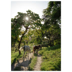 fceaf80e-22a9-4825-aa65-ca943cb9693a