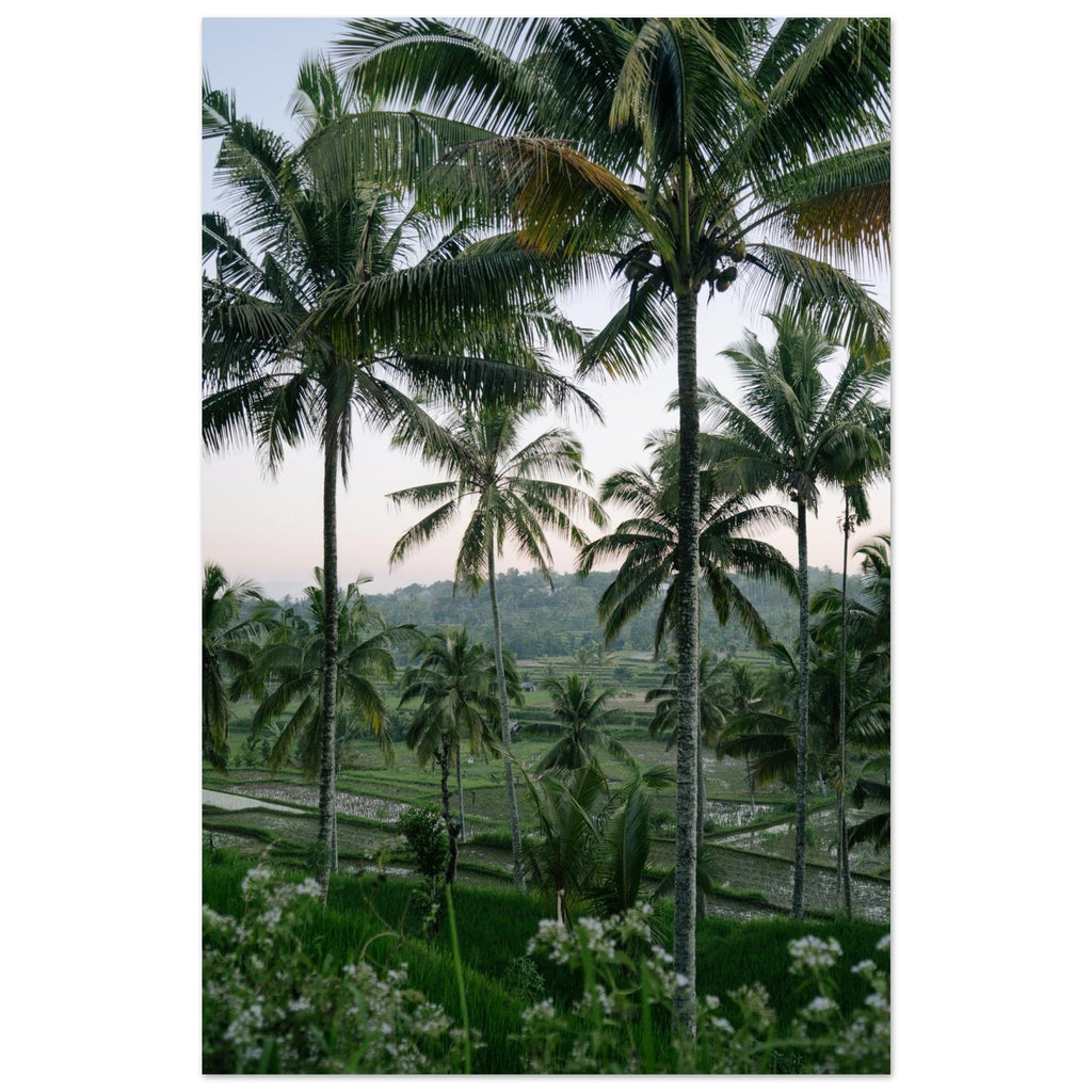 fd1c687a-6ca3-441a-adfb-1183ffea1be6