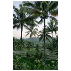 fd1c687a-6ca3-441a-adfb-1183ffea1be6