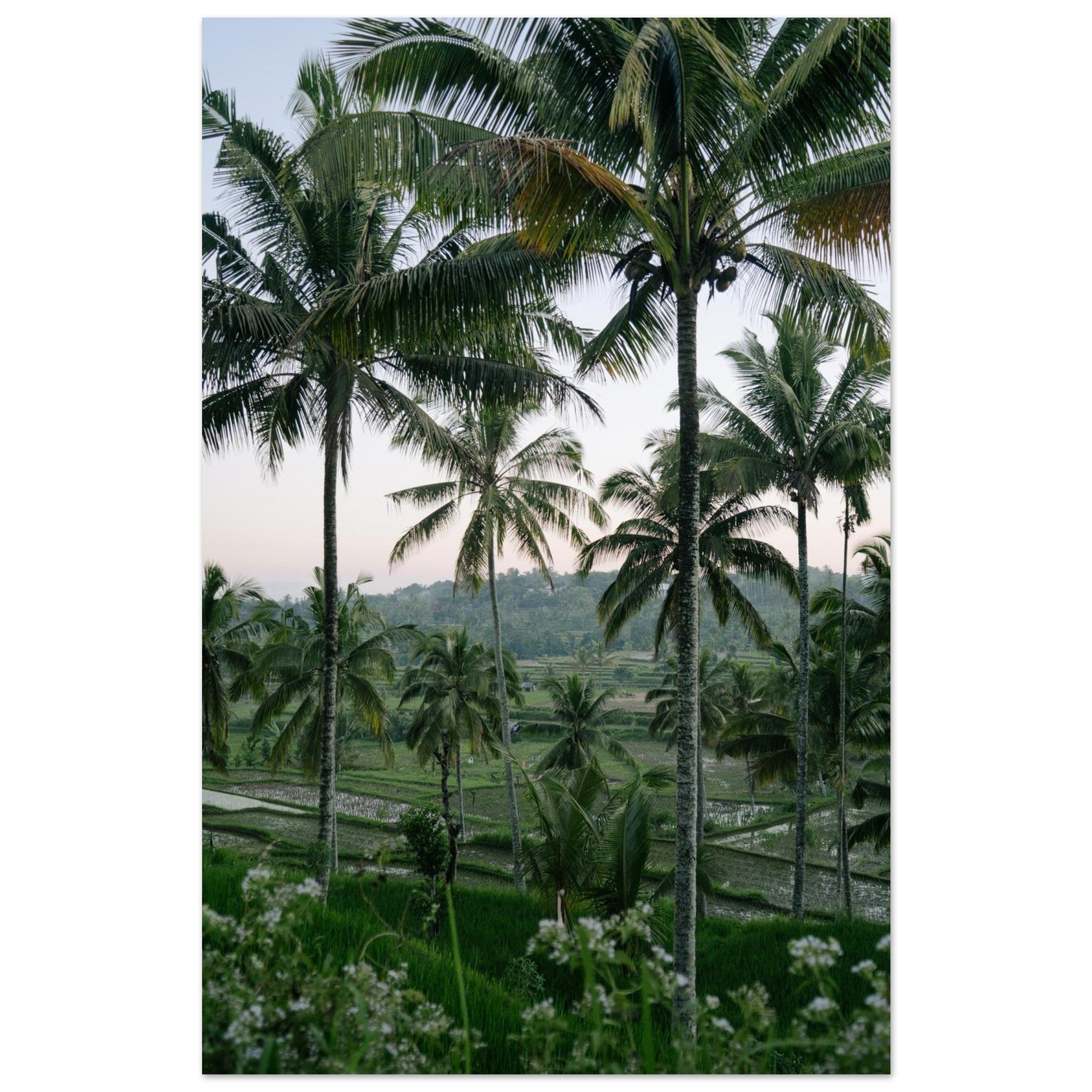 fd1c687a-6ca3-441a-adfb-1183ffea1be6