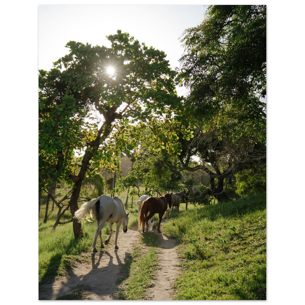 ff641bde-d12a-4091-bc6e-8a74fbd5dfc3