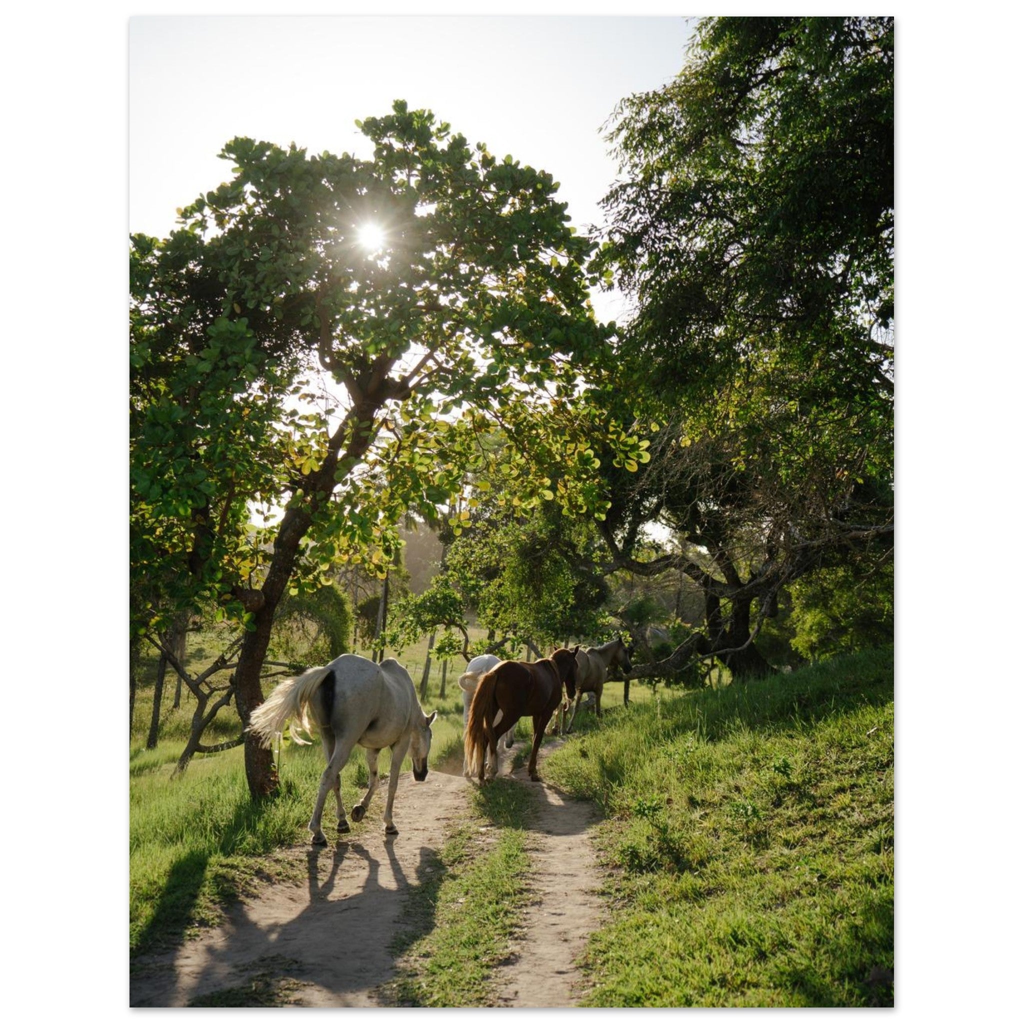 ff641bde-d12a-4091-bc6e-8a74fbd5dfc3