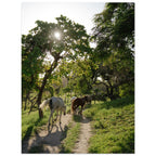 ff6abd28-e083-4a38-a31c-db84125f8a23