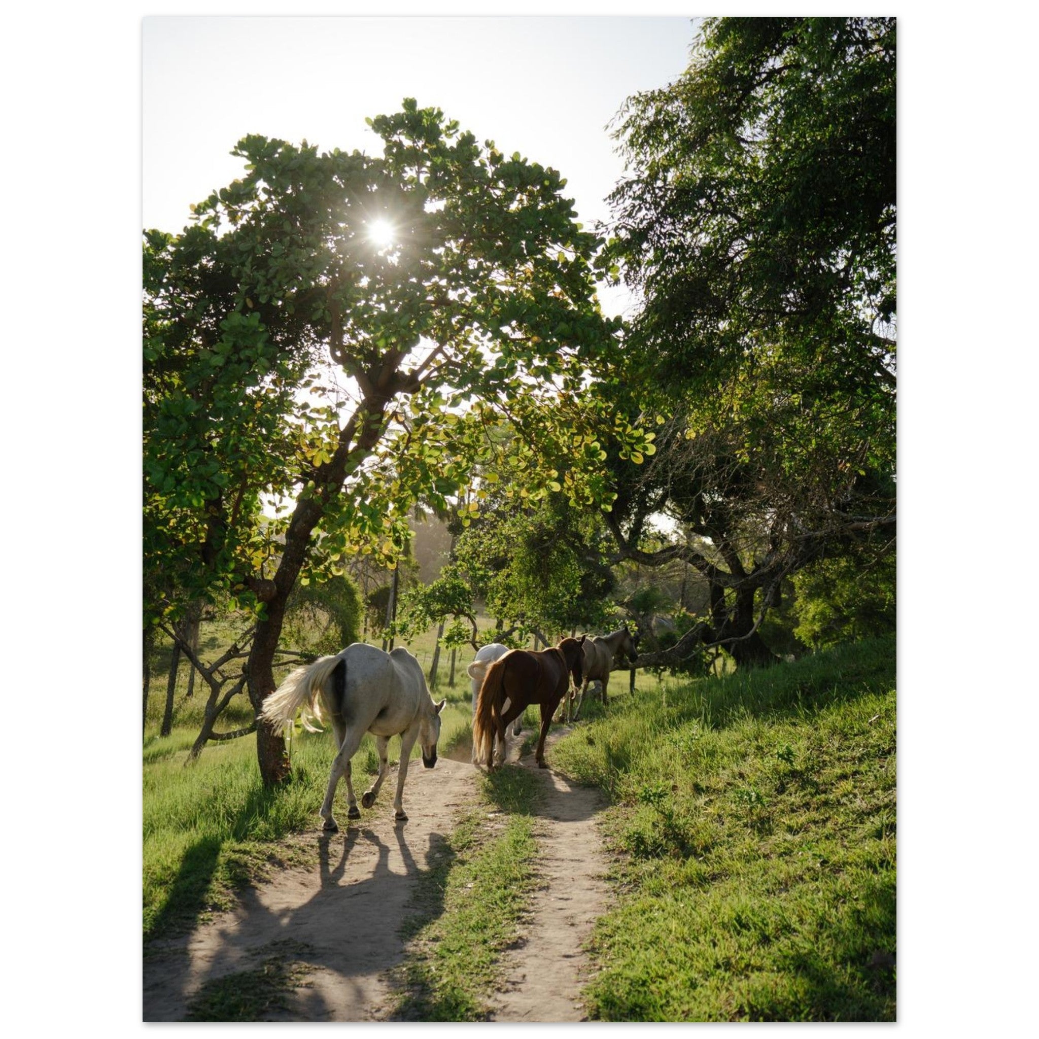 ff6abd28-e083-4a38-a31c-db84125f8a23